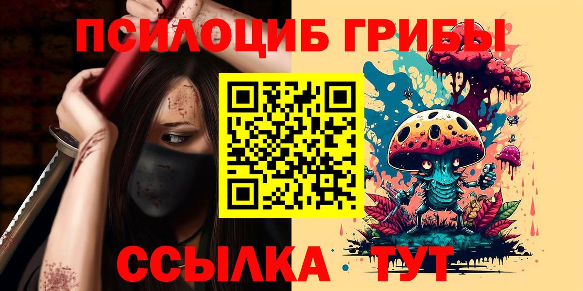 Большой Камень  Псилоцибиновые грибы GOLDEN TEACHER  купить закладку  Галлюциногенные грибы ЛСД  Вход с VPN 